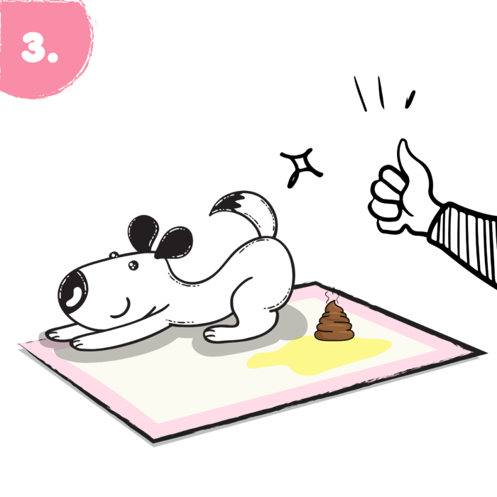 HOW-TO-TRAIN-UR-DOG-ICON-03-700x700 (1).png__PID:f8550103-353a-4548-9914-076fc9f39d50