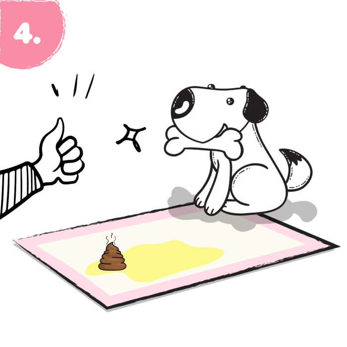 HOW-TO-TRAIN-UR-DOG-ICON-04-700x700.png__PID:55010335-3ab5-48d9-9407-6fc9f39d5081